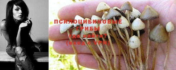 трава Кодинск