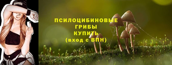 трава Кодинск