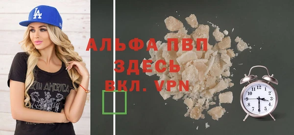 прущие грибы Козельск