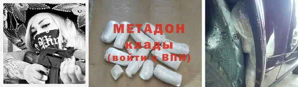 прущие грибы Козельск
