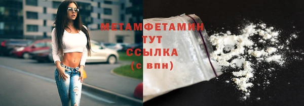прущие грибы Козельск