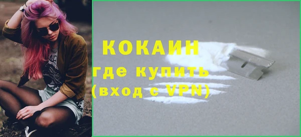 прущие грибы Козельск