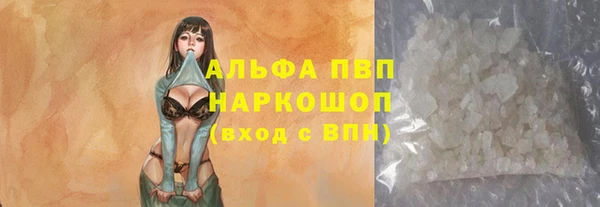 прущие грибы Козельск