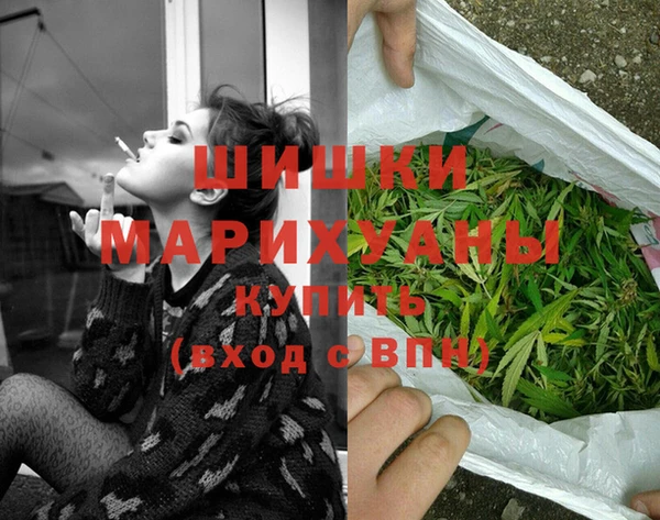 прущие грибы Козельск