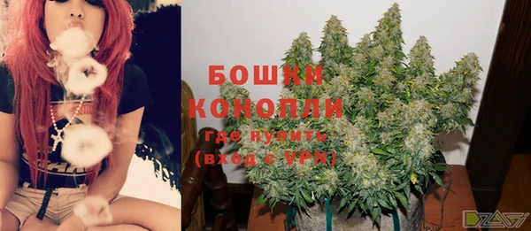 мдпв Козловка