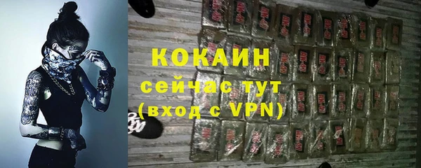 мдпв Козловка