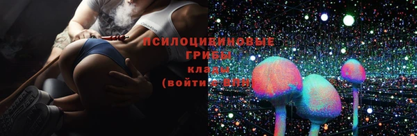 мдпв Козловка