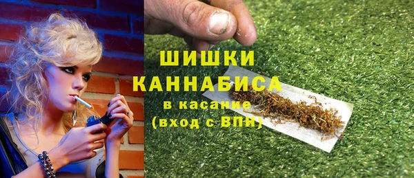 мдпв Козловка
