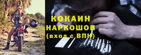 прущие грибы Козельск