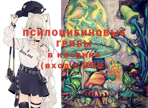 прущие грибы Козельск