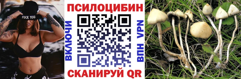 Купить закладки  Севастополь  Псилоцибиновые грибы прущие грибы 